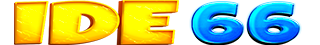 IDE 66